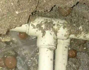 石龙测漏水多少钱