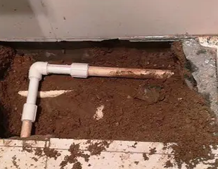 石龙测漏水哪家好