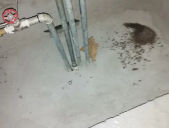 石龙卫生间测漏水价格明细