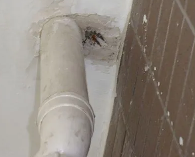 石龙漏水检测哪家好